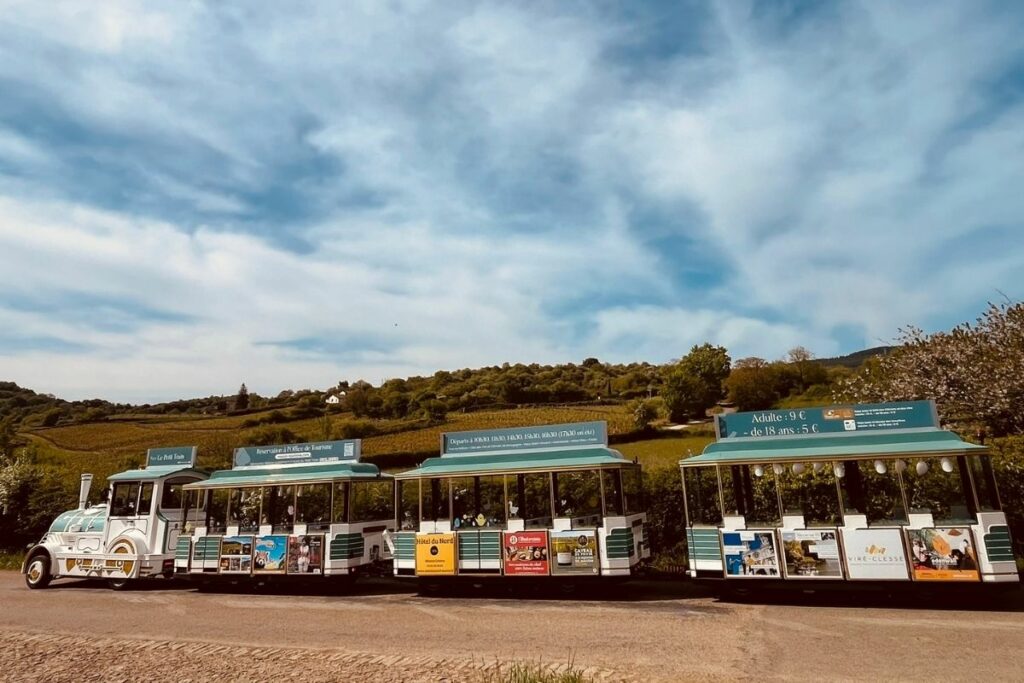Train touristique sur un parcours en vignoble avec visiteurs à bord